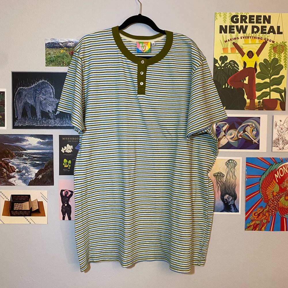 Plus Size Big Bud Press Striped Shirt